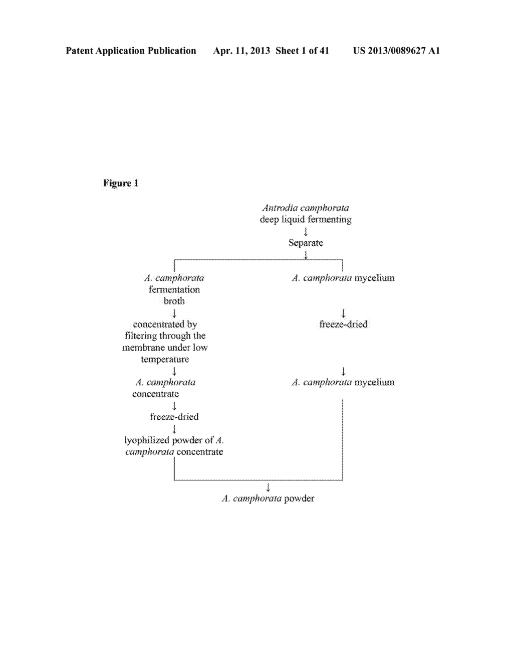 METHOD FOR TREATING A CANCER CAUSED BY CANCER STEM CELLS - diagram, schematic, and image 02