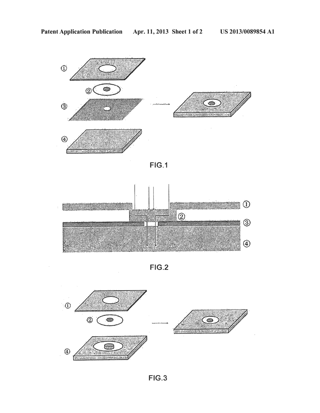 KIT FOR DOT IMMUNOGOLD DIRECTED FILTRATION ASSAY AND USE THEREOF - diagram, schematic, and image 02