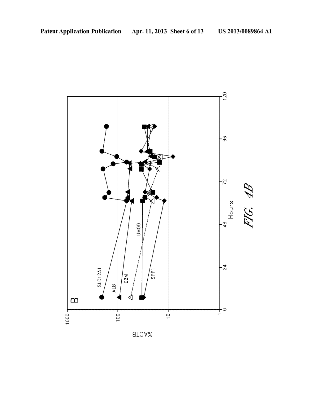 METHODS FOR CHARACTERIZING KIDNEY FUNCTION - diagram, schematic, and image 07