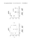 METHODS FOR CHARACTERIZING KIDNEY FUNCTION diagram and image