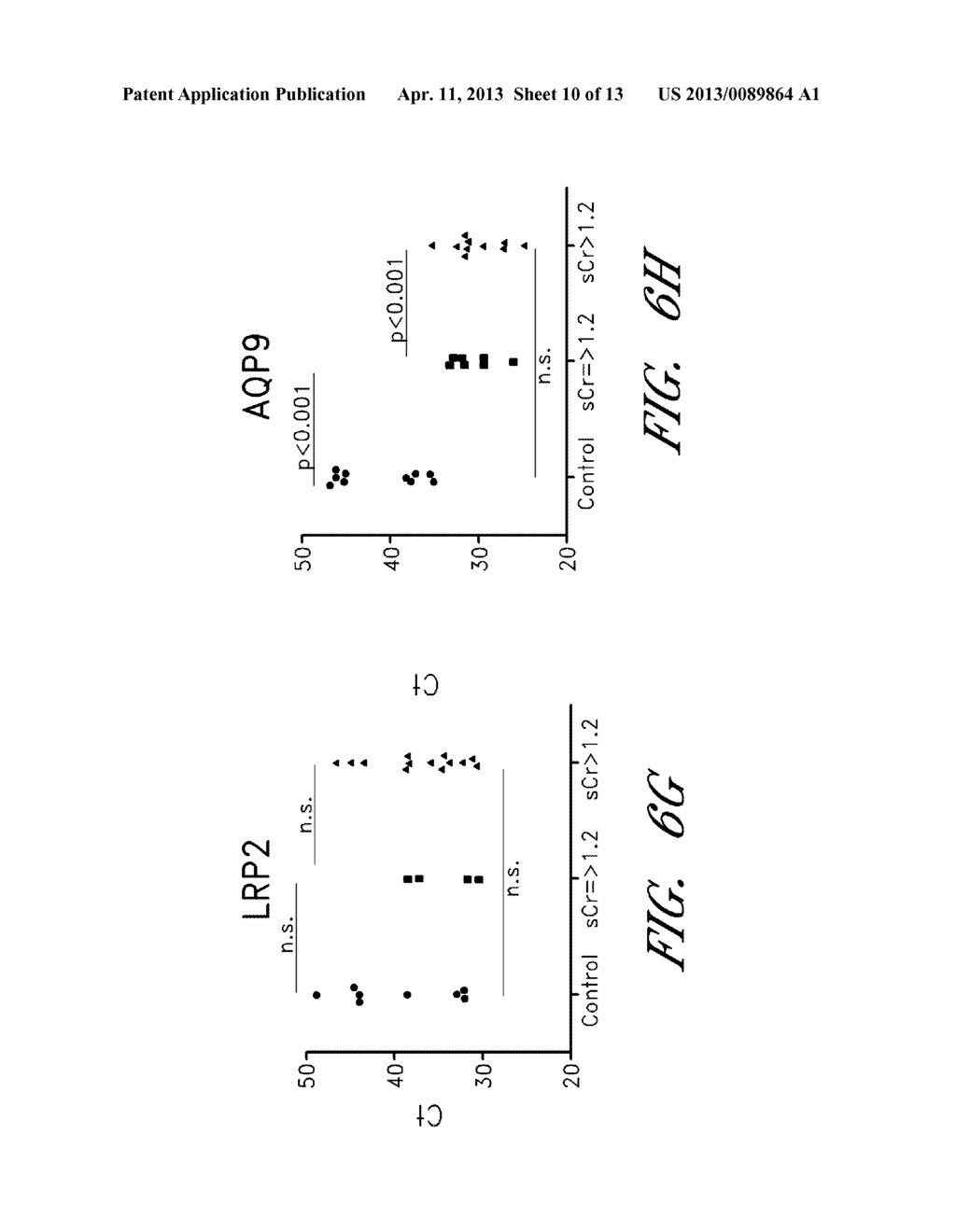 METHODS FOR CHARACTERIZING KIDNEY FUNCTION - diagram, schematic, and image 11