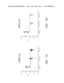 METHODS FOR CHARACTERIZING KIDNEY FUNCTION diagram and image