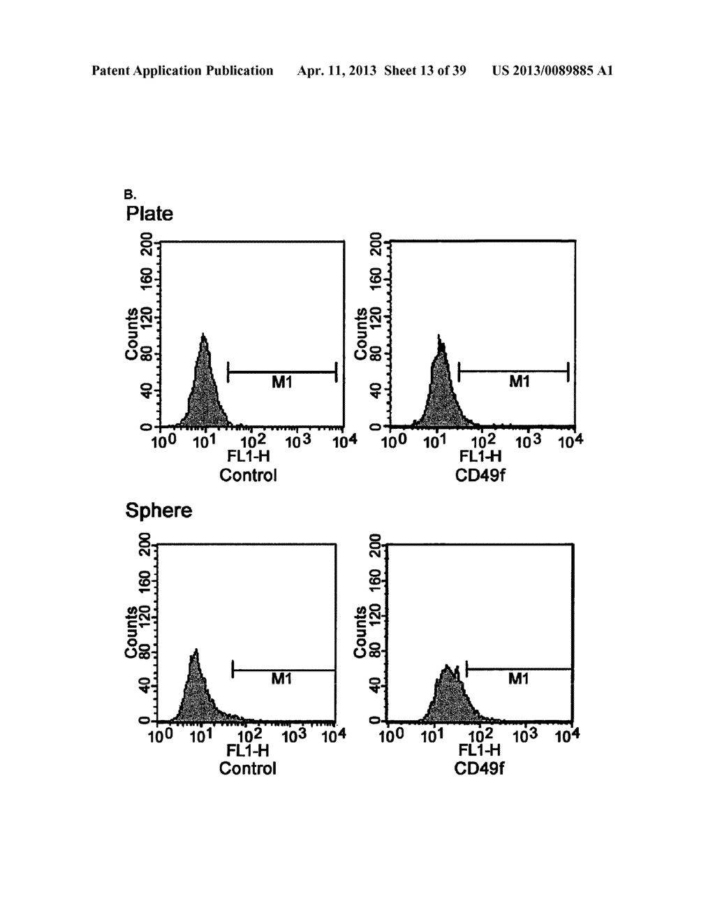 CD49F PROMOTING PROLIFERATION, MULTIPOTENCY AND REPROGRAMMING OF ADULT     STEM CELLS THROUGH PI3K/AKT/GSK3 PATHWAY - diagram, schematic, and image 14