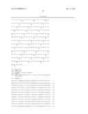 BIOCATALYSTS AND METHODS FOR THE SYNTHESIS OF (S)-3-(1-AMINOETHYL)-PHENOL diagram and image