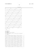 BIOCATALYSTS AND METHODS FOR THE SYNTHESIS OF (S)-3-(1-AMINOETHYL)-PHENOL diagram and image