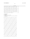 BIOCATALYSTS AND METHODS FOR THE SYNTHESIS OF (S)-3-(1-AMINOETHYL)-PHENOL diagram and image