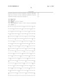 BIOCATALYSTS AND METHODS FOR THE SYNTHESIS OF (S)-3-(1-AMINOETHYL)-PHENOL diagram and image