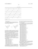 BIOCATALYSTS AND METHODS FOR THE SYNTHESIS OF (S)-3-(1-AMINOETHYL)-PHENOL diagram and image