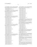 BIOCATALYSTS AND METHODS FOR THE SYNTHESIS OF (S)-3-(1-AMINOETHYL)-PHENOL diagram and image