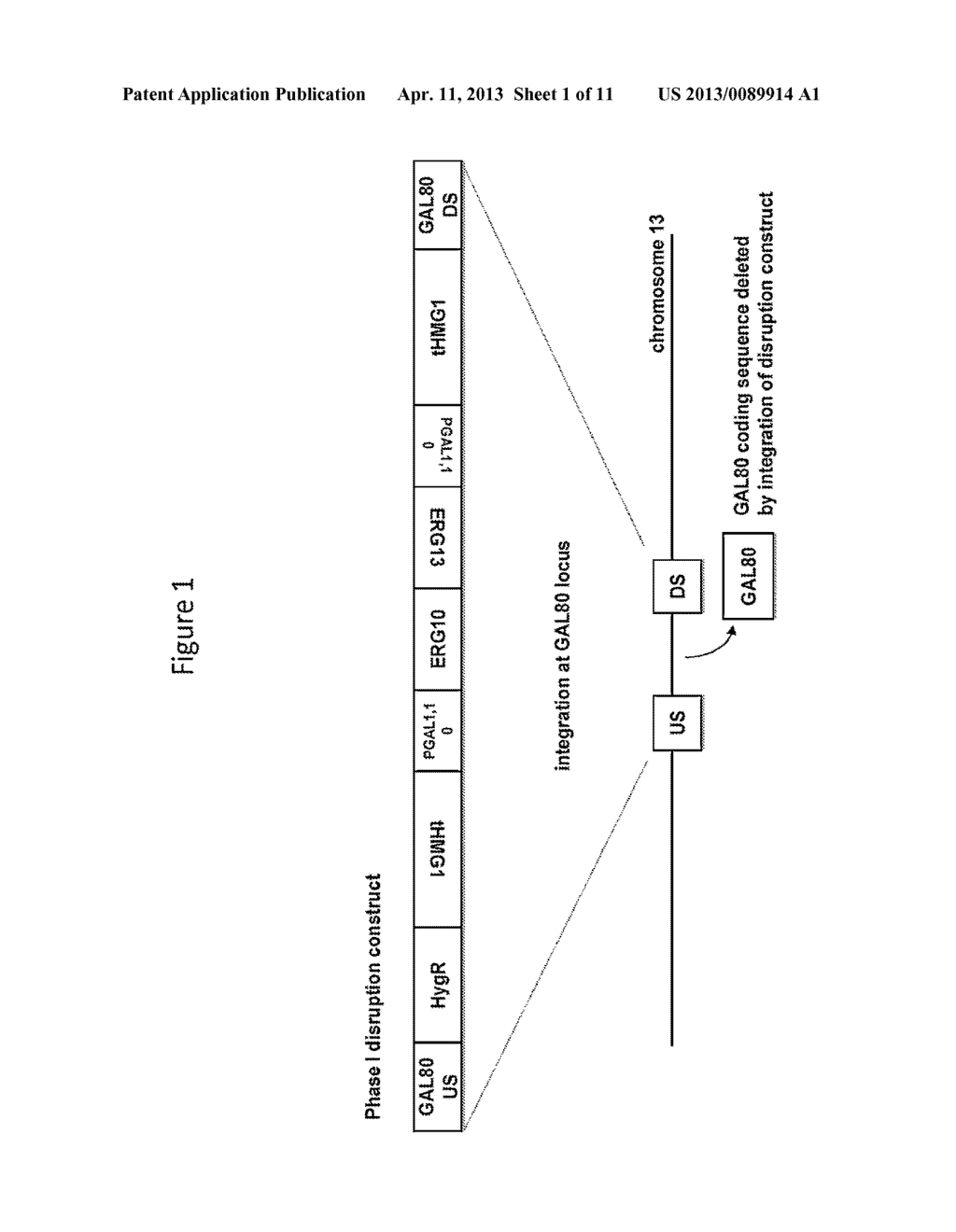 METHOD FOR GENERATING A GENETICALLY MODIFIED MICROBE - diagram, schematic, and image 02