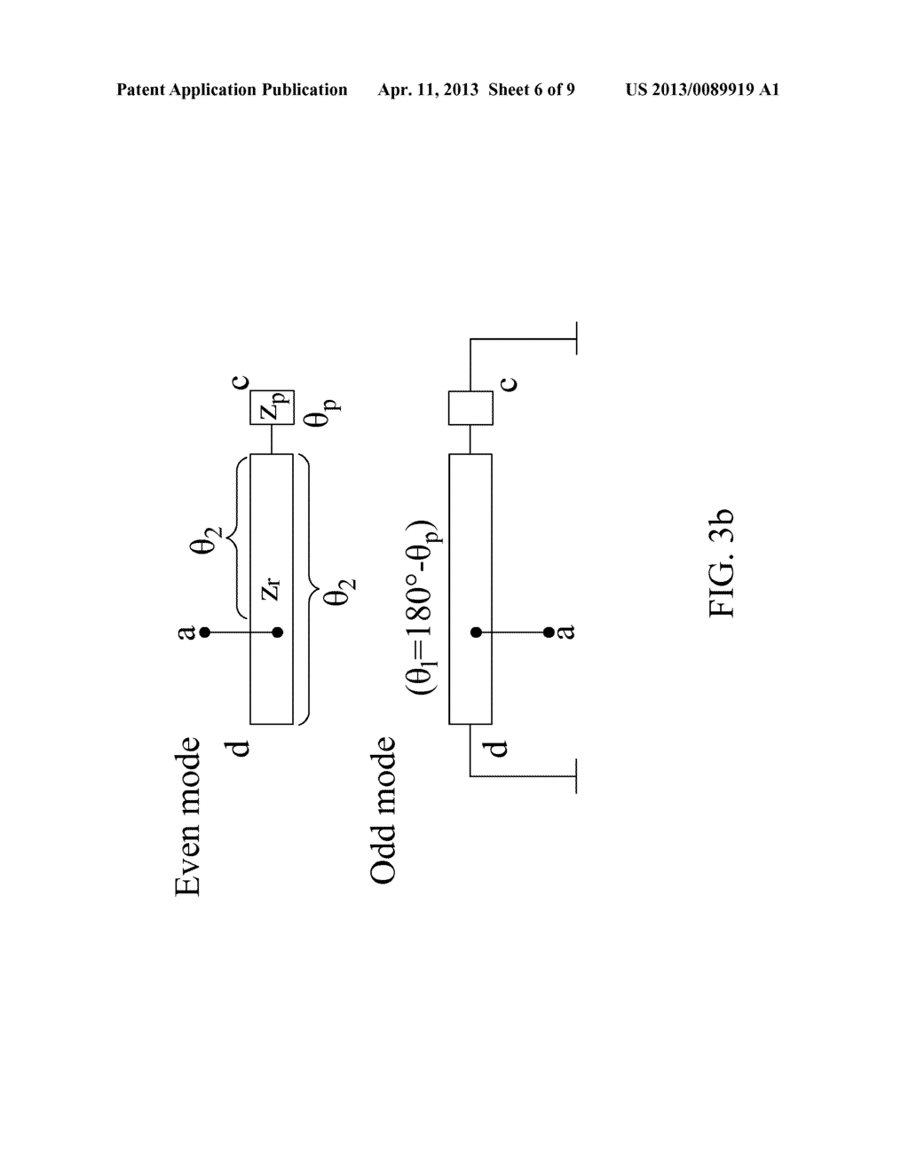 Biosensor Chip with Nanostructures - diagram, schematic, and image 07