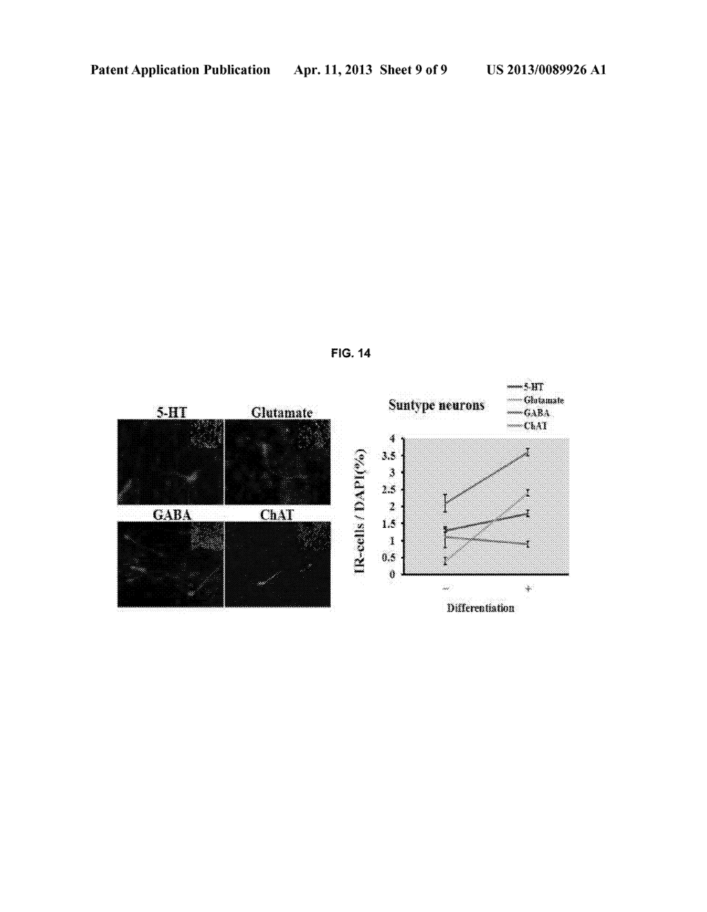 METHOD FOR DIFFERENTIATING HUMAN NEURAL PROGENITOR CELLS INTO DOPAMINERGIC     NEURONS, AND MEDIUM FOR DIFFERENTIATION THEREOF - diagram, schematic, and image 10