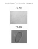 ULTRAFINE FIBER-BASED COMPOSITES HAVING HIGH HYDROSCOPICITY diagram and image