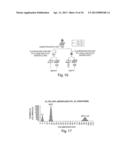 SELECTION OF COMPARTMENTALISED SCREENING diagram and image