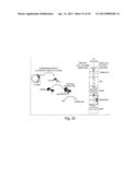 SELECTION OF COMPARTMENTALISED SCREENING diagram and image