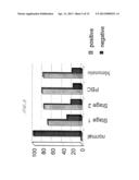 Tumour Markers diagram and image