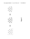 GENE-EXPRESSION PROFILING WITH REDUCED NUMBERS OF TRANSCRIPT MEASUREMENTS diagram and image