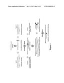 GENE-EXPRESSION PROFILING WITH REDUCED NUMBERS OF TRANSCRIPT MEASUREMENTS diagram and image