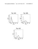 IMPROVED METHOD FOR SELECTING HIGH PRODUCING CELL LINES diagram and image