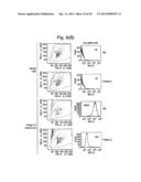 IMPROVED METHOD FOR SELECTING HIGH PRODUCING CELL LINES diagram and image