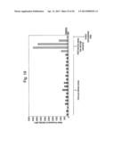 IMPROVED METHOD FOR SELECTING HIGH PRODUCING CELL LINES diagram and image