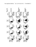 IMPROVED METHOD FOR SELECTING HIGH PRODUCING CELL LINES diagram and image