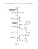 Multiplexed Assay Using Spectrally-Encoded Solid Support Matrices diagram and image