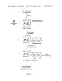 Multiplexed Assay Using Spectrally-Encoded Solid Support Matrices diagram and image