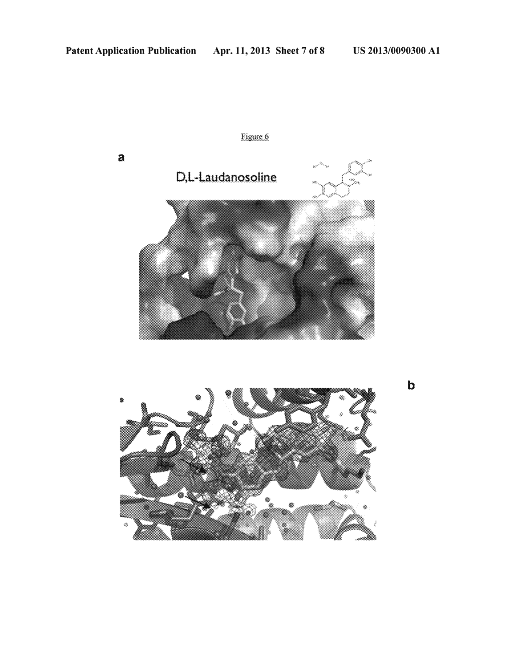 INHIBITORS OF INFLUENZA ENDONUCLEASE ACTIVITY AND TOOLS FOR THEIR     DISCOVERY - diagram, schematic, and image 08