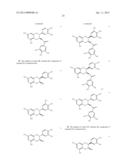 INHIBITORS OF INFLUENZA ENDONUCLEASE ACTIVITY AND TOOLS FOR THEIR     DISCOVERY diagram and image