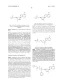 ANTIVIRAL COMPOUNDS diagram and image