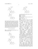 HETEROCYCLIC COMPOUNDS AND THEIR USES diagram and image