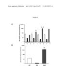 METHODS FOR THE TREATMENT OF TAY-SACHS DISEASE, SANDHOFF DISEASE, AND     GM1-GANGLIOSIDOSIS diagram and image