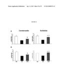 METHODS FOR THE TREATMENT OF TAY-SACHS DISEASE, SANDHOFF DISEASE, AND     GM1-GANGLIOSIDOSIS diagram and image