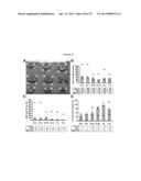 METHODS FOR THE TREATMENT OF TAY-SACHS DISEASE, SANDHOFF DISEASE, AND     GM1-GANGLIOSIDOSIS diagram and image