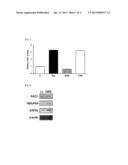 COMPOSITION COMPRISING COUMESTROL OR A BEAN EXTRACT CONTAINING COUMESTROL diagram and image