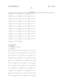 TRANSFORMANT WHICH PRODUCES GLYCINE REPEAT SEQUENCE PROTEIN diagram and image