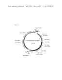 TRANSFORMANT WHICH PRODUCES GLYCINE REPEAT SEQUENCE PROTEIN diagram and image