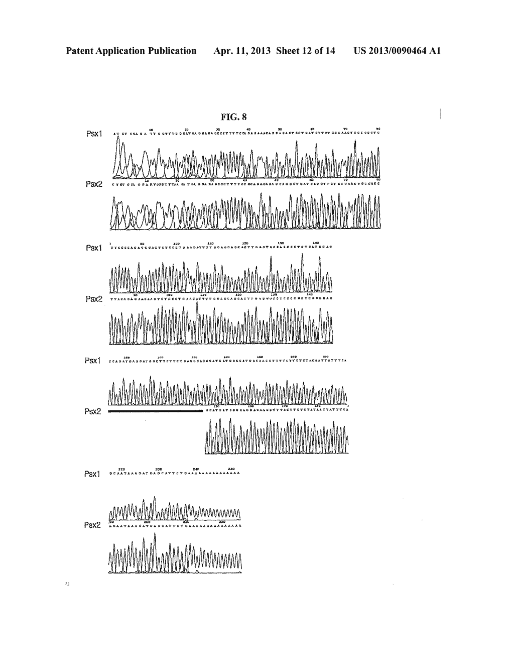 Process Using Dual Specificity Oligonucleotide and Dual Specificity     Oligonucleotide - diagram, schematic, and image 13