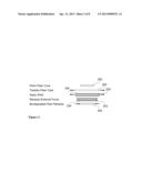 TIMED-RELEASE TENSIONED OR COMPRESSED FIBERS diagram and image