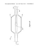 DEVICE AND METHODS FOR RENAL NERVE MODULATION diagram and image