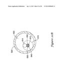 DEVICE AND METHODS FOR RENAL NERVE MODULATION diagram and image