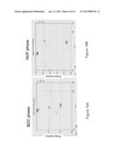 Magnesium Alloys for Bioabsorbable Stent diagram and image