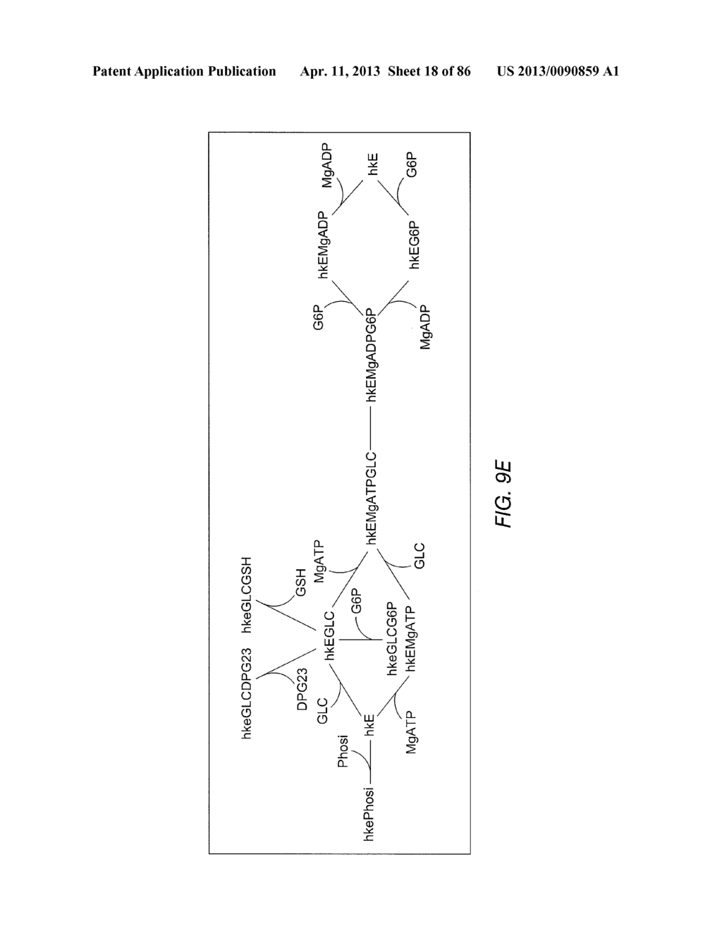 METHODS AND SYSTEMS FOR GENOME-SCALE KINETIC MODELING - diagram, schematic, and image 19