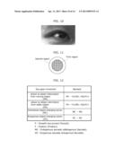 DEGREE OF INTEREST ESTIMATING DEVICE AND DEGREE OF INTEREST ESTIMATING     METHOD diagram and image