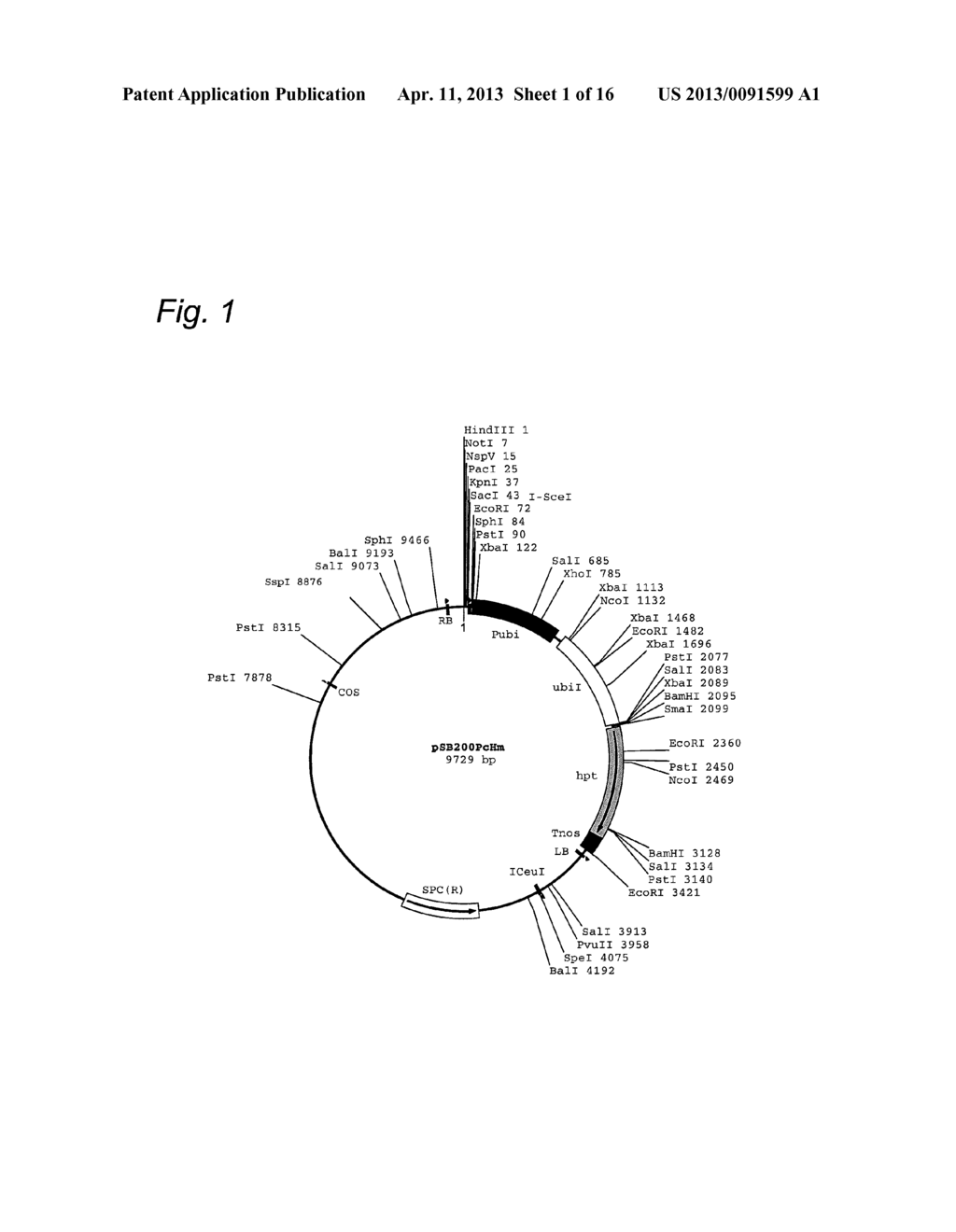 Cosmid Vector for Transforming Plant and Use Thereof - diagram, schematic, and image 02