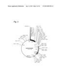 Cosmid Vector for Transforming Plant and Use Thereof diagram and image