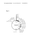 Cosmid Vector for Transforming Plant and Use Thereof diagram and image