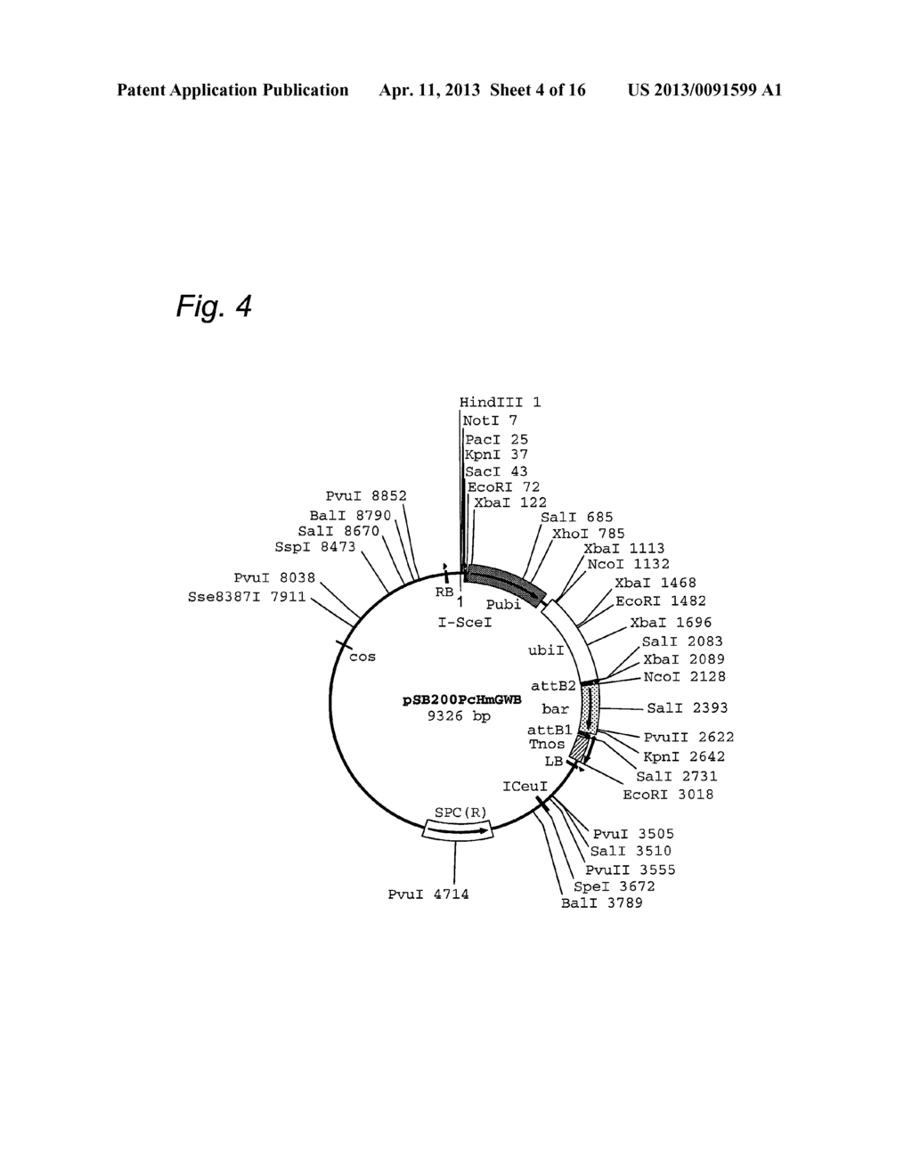 Cosmid Vector for Transforming Plant and Use Thereof - diagram, schematic, and image 05