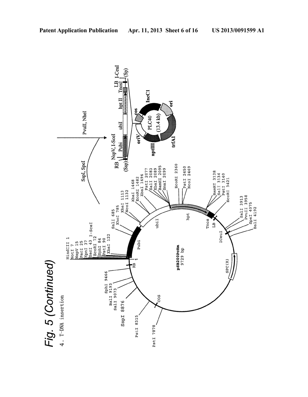 Cosmid Vector for Transforming Plant and Use Thereof - diagram, schematic, and image 07